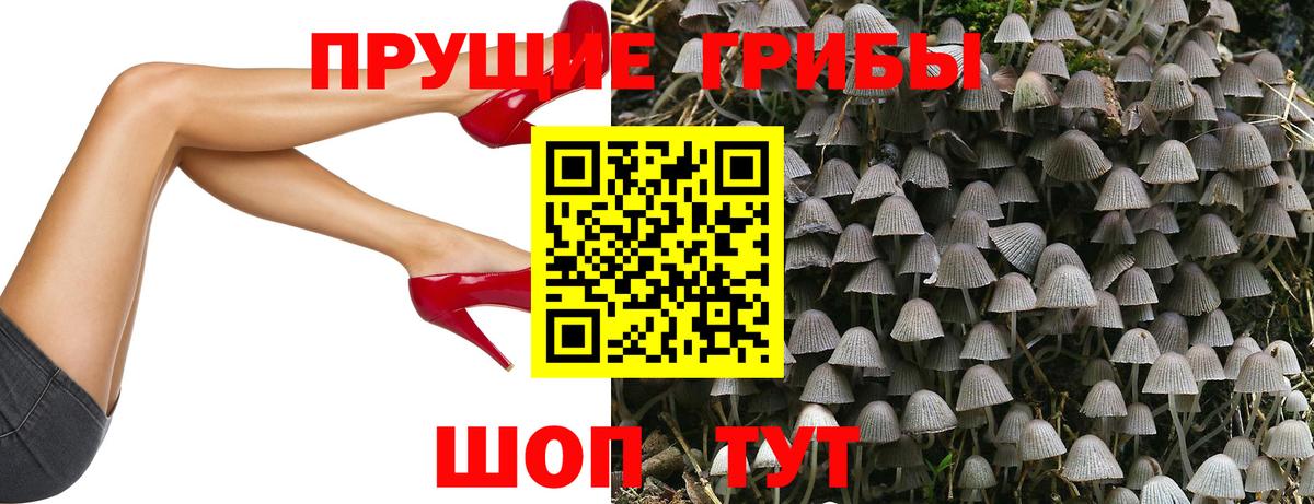 Ставрополь  цена наркотик  Вход с VPN  Псилоцибиновые грибы MAGIC MUSHROOMS 