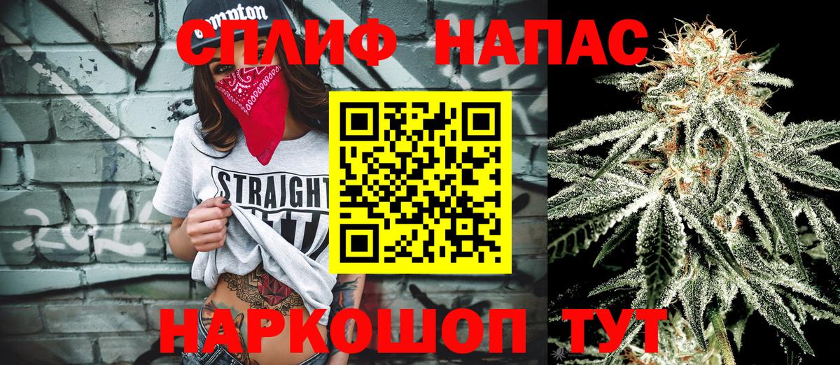 Каннабис гибрид  Каннабис Bruce Banner  Ставрополь  Вход с VPN  Бошки марихуана планчик 